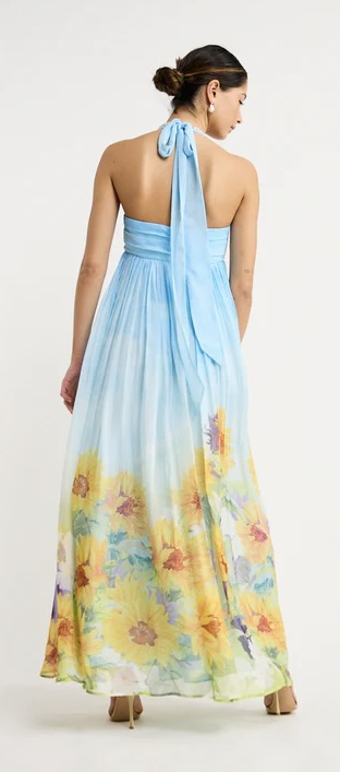 green emerald velvet dress Get Ready Mint Green Floral Maxi Dress – Shop the Mint